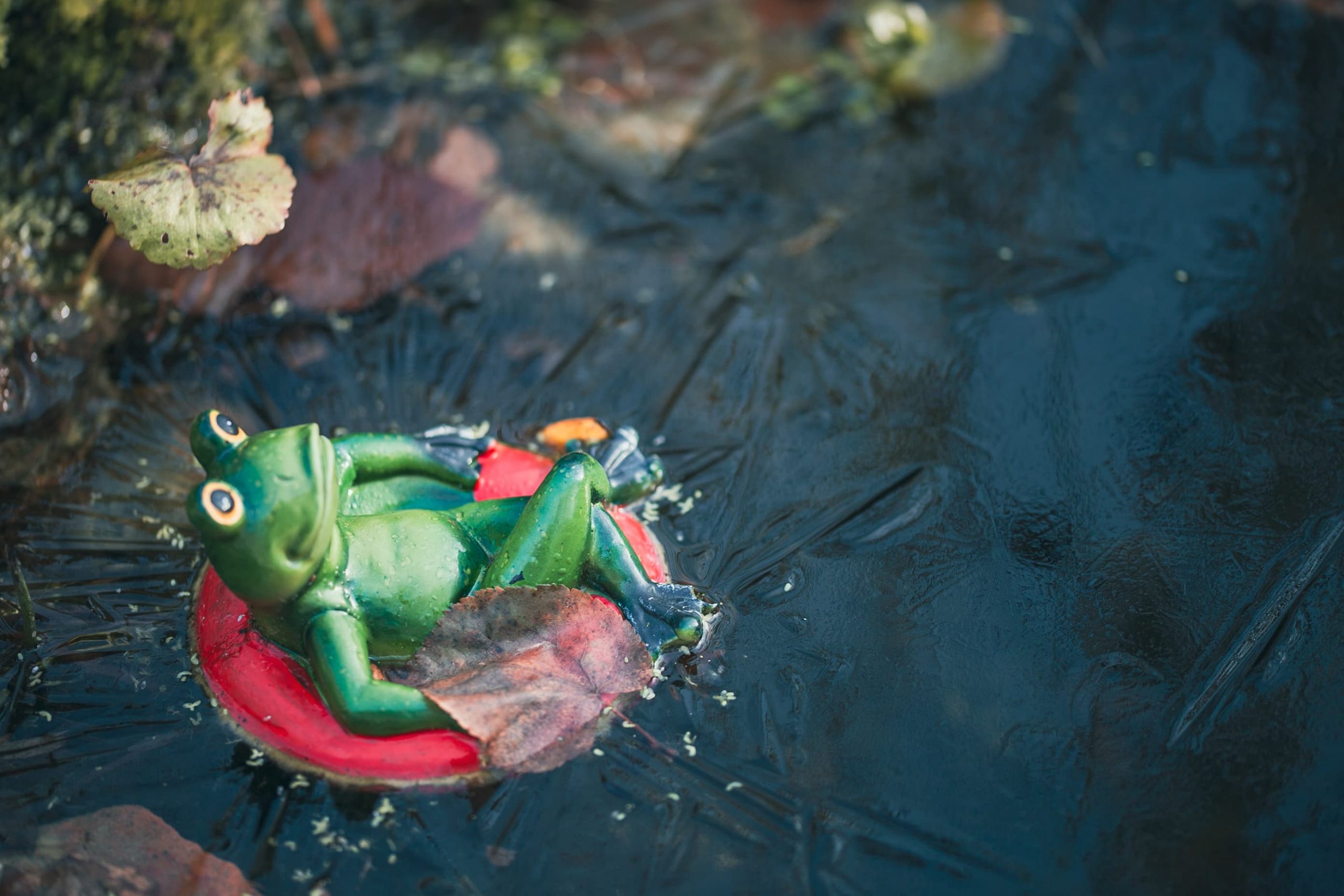 Grüne Keramikfigur eines Froschs, der entspannt in einem roten Schwimmreifen auf gefrorenem Wasser liegt – ein Moment der Ruhe inmitten der Starre.